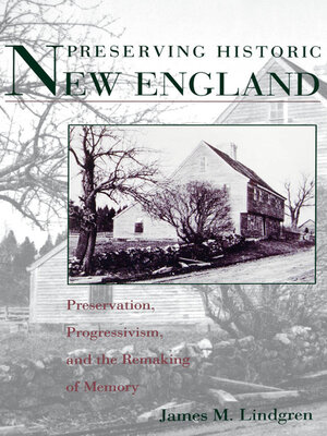 cover image of Preserving Historic New England